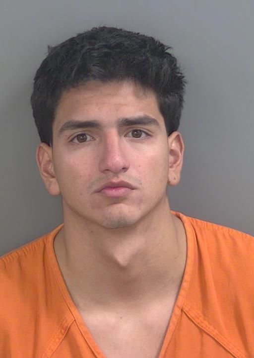 Booking photo of Luis Romanvaca