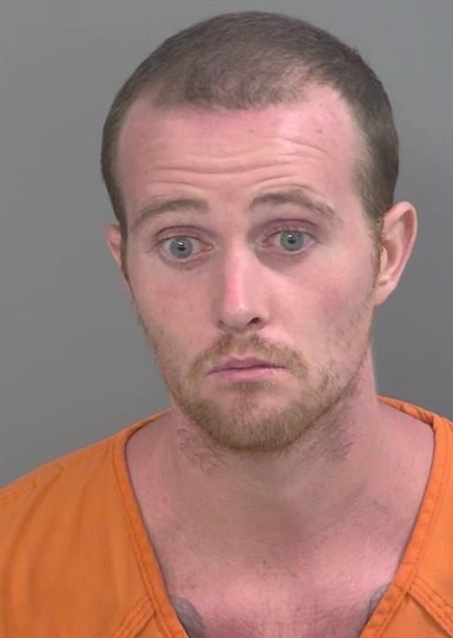 Booking photo of Lane Petrus