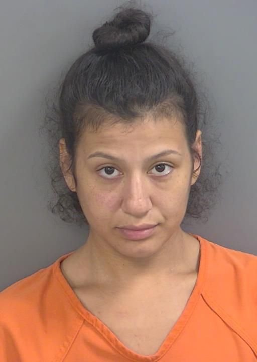 Booking photo of Karina Meza
