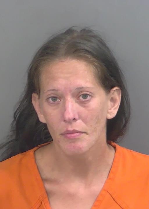 Booking photo of Sara Streb