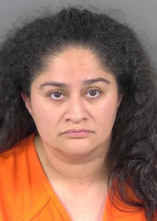 Booking photo of Natalie Porter