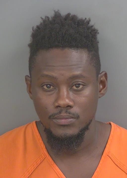 Booking photo of Rogelin Petion