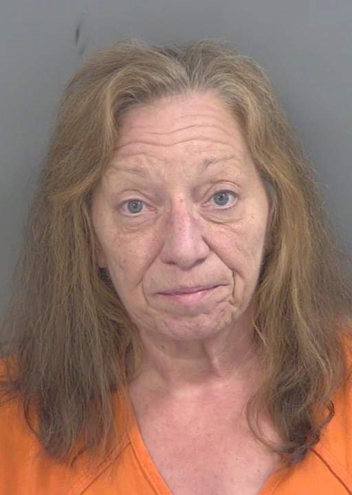 Booking photo of Robin Theiler