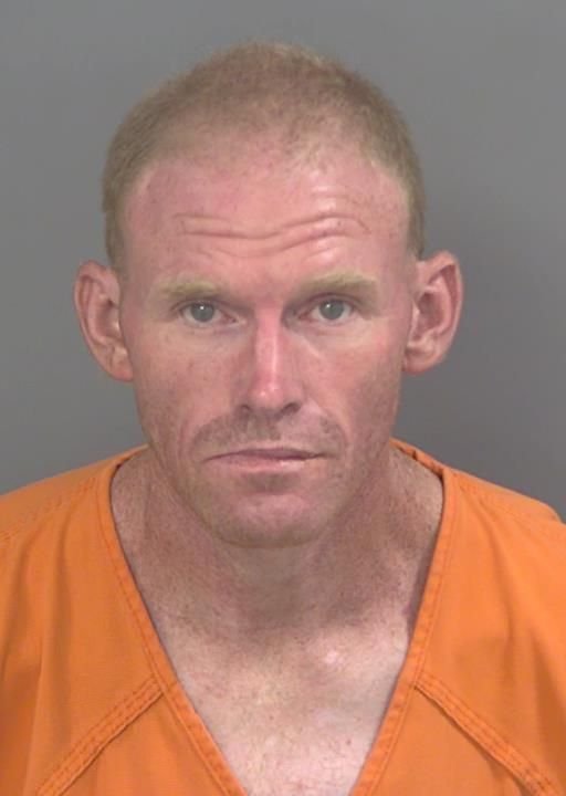 Booking photo of David Newsome