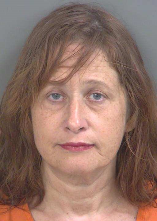Erin Hudgens booking photo
