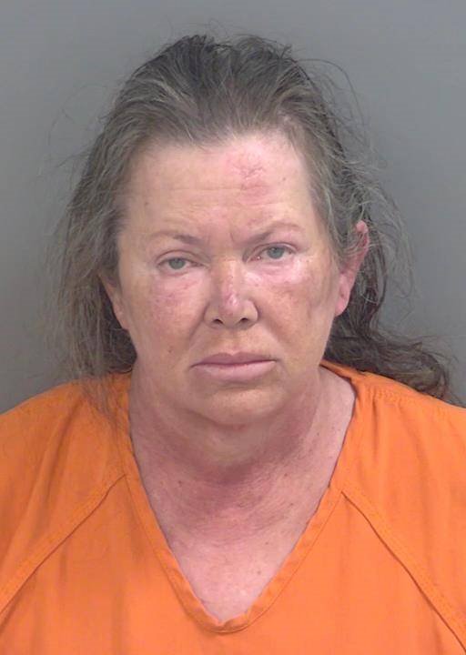 Booking photo of Alice Kish