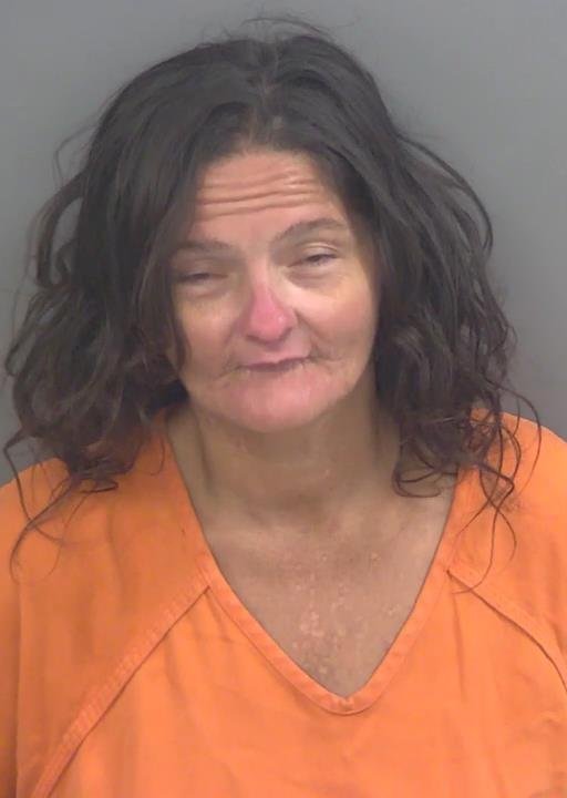 Booking photo of Amber Hamler