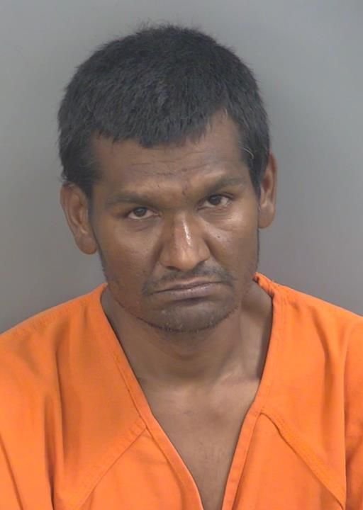 Booking photo of Nyem Sarder