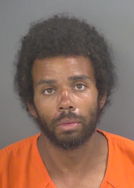 Booking photo of Ainsley Williams