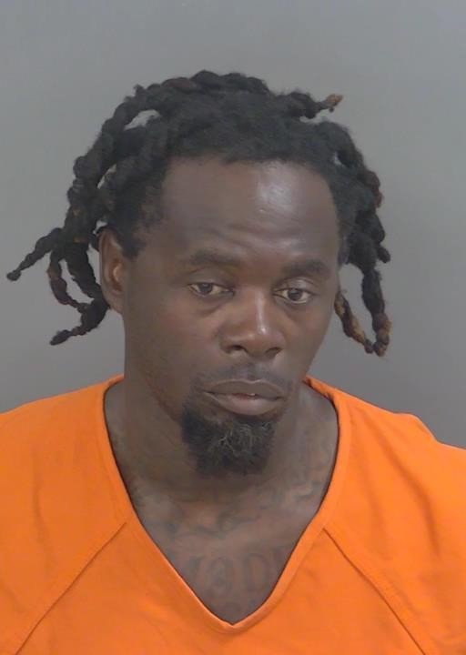 Booking photo of Renel Pavilus