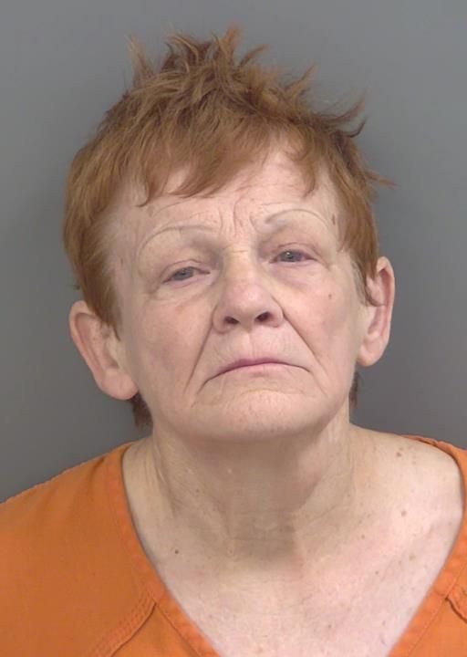 Booking photo of Lena Hollmann