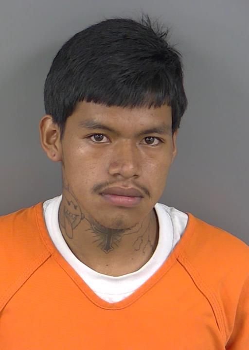 Booking photo of Sergio Domingogeronimo