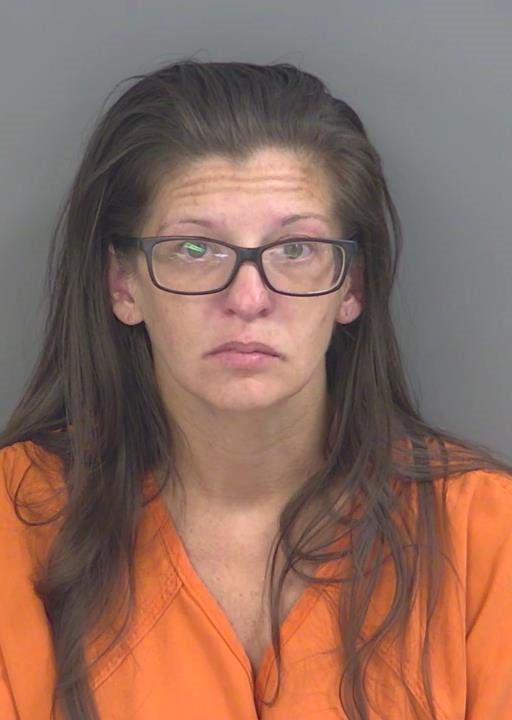Booking photo of Erika Nolan