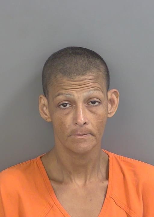 Booking photo of Nola Fegueroa