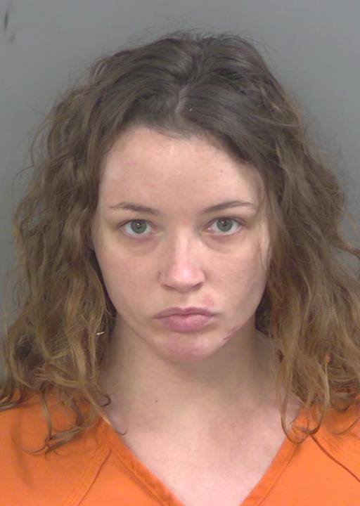 Elainecatherine Shisler booking photo