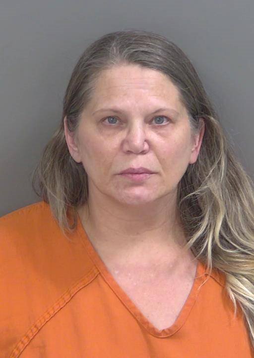 Booking photo of Donna Jaber