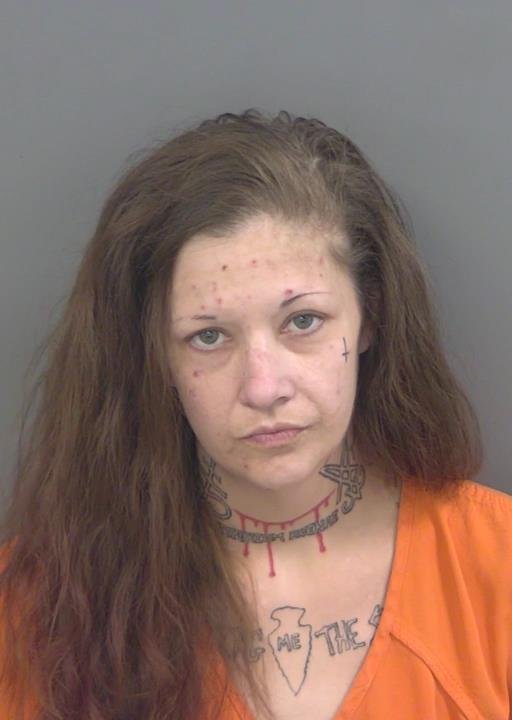 Booking photo of Nicolette Ellswick