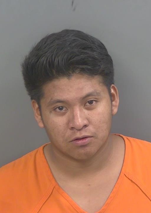 Booking photo of Bigny Garciagodinez