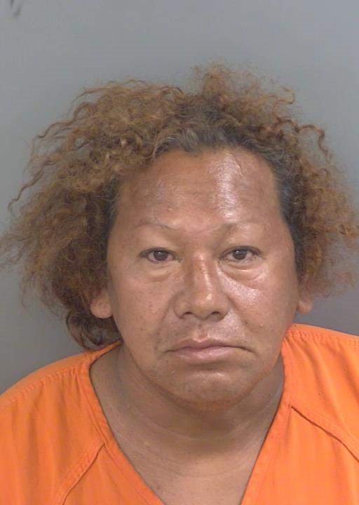 Booking photo of Katerin Revolorio