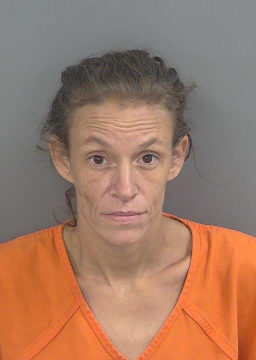 Booking photo of Nicole Anadell