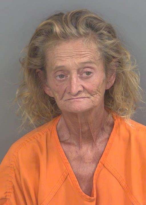 Booking photo of Joann Sciandra