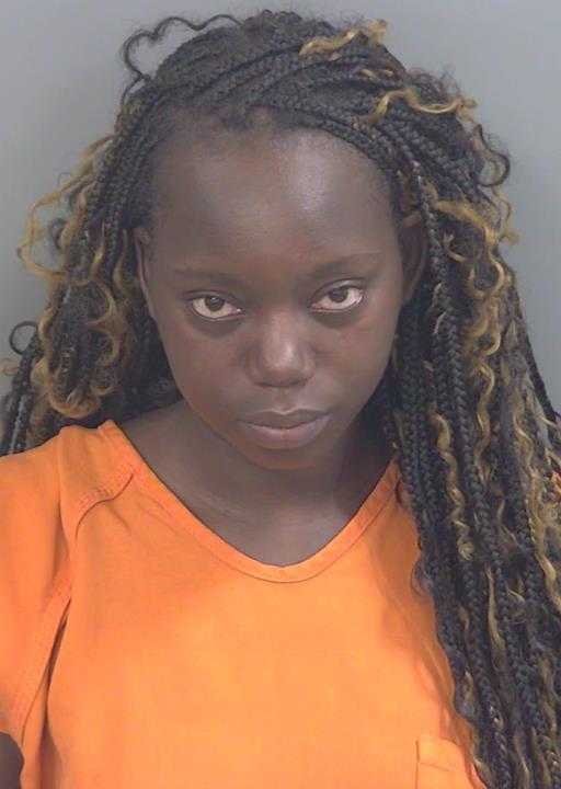 Booking photo of Josnise Vilsaint