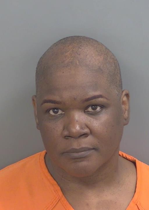 Booking photo of Michelle Stevens