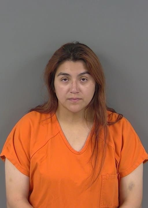 Booking photo of Andrea Ozuna