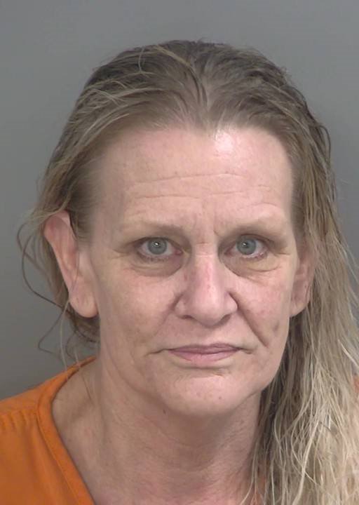 Booking photo of Galadriel Javorsky