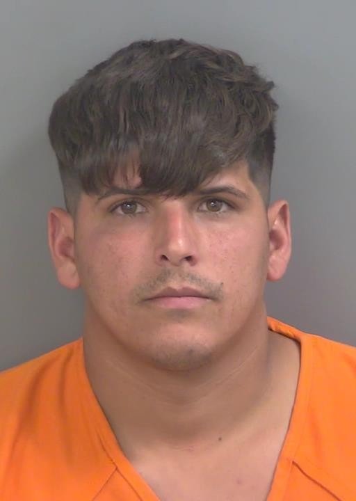 Booking photo of Roylandi Artigasramirez