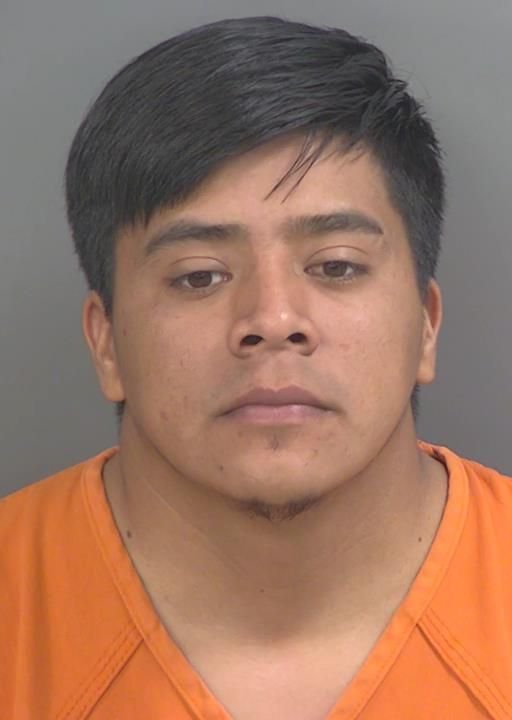 Franck Sebastiannicolas booking photo