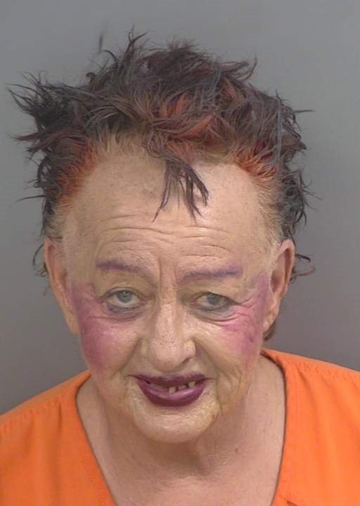 Booking photo of Sara Poppele