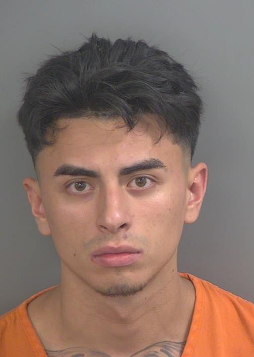 Booking photo of David Alavamoreira