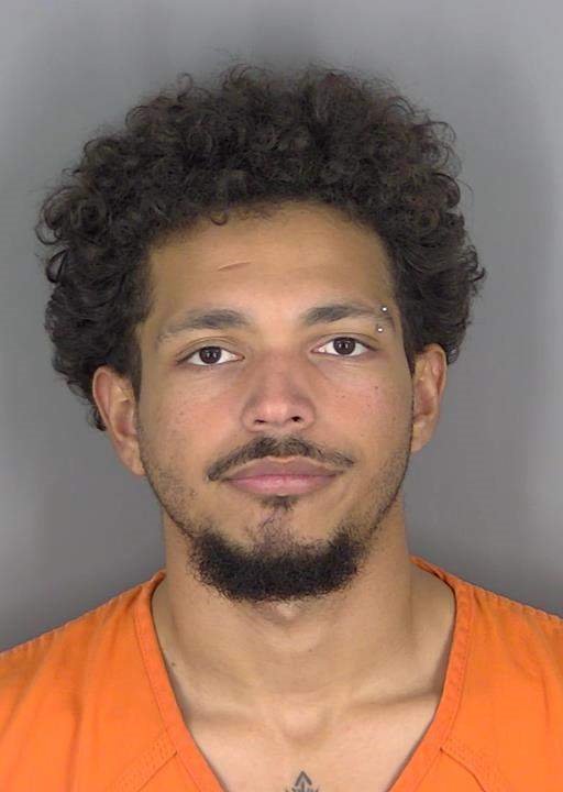 Booking photo of Jatnel Febresvega