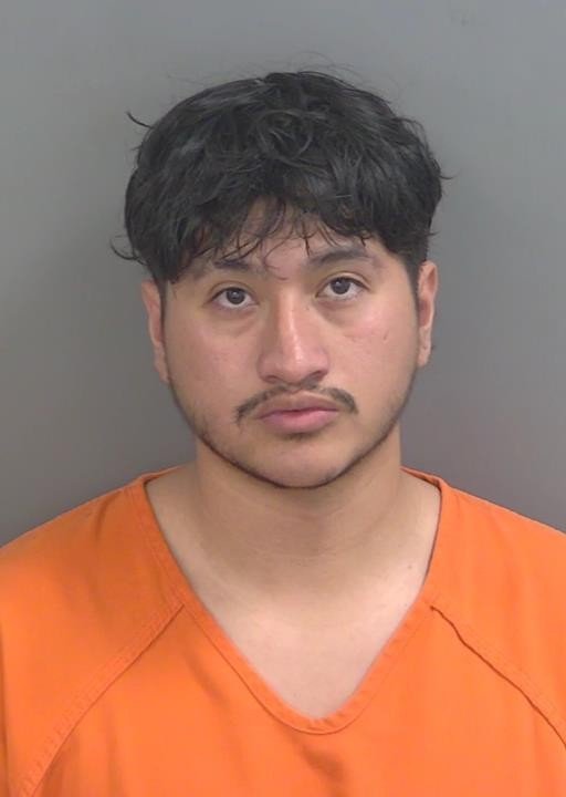 Booking photo of Joan Herediavergara
