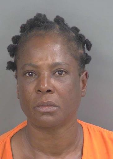 Booking photo of Christine Millerwilliams