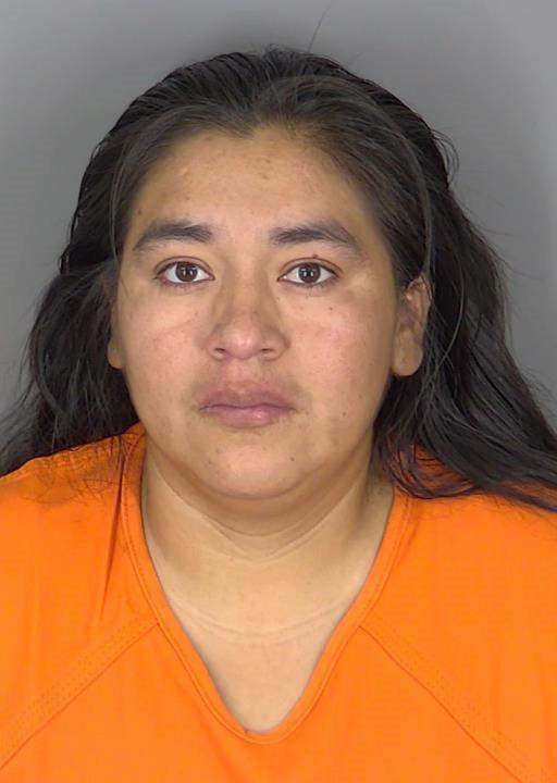 Booking photo of Dania Anorve