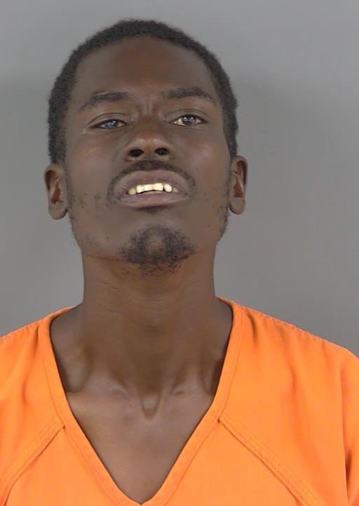 Booking photo of Predly Alsenat