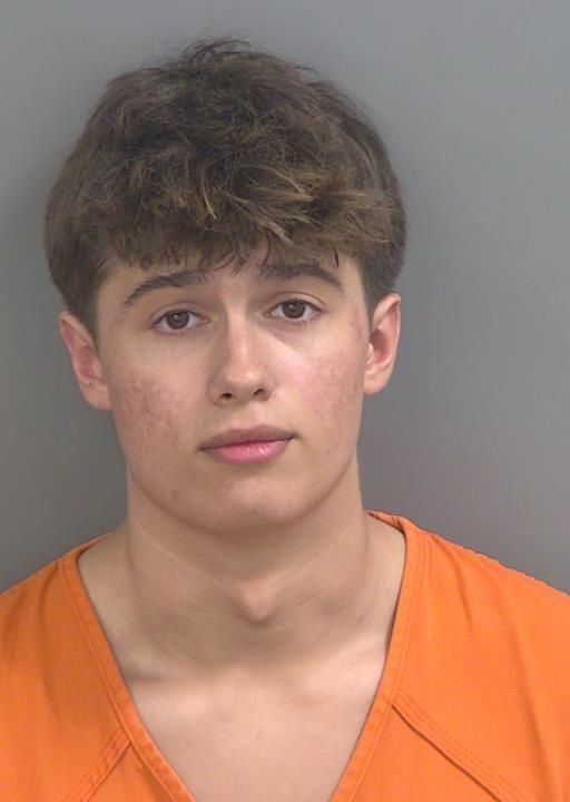 Booking photo of Alexander Martins