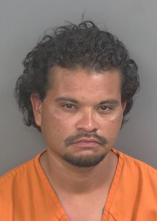Booking photo of Andrew Filiponithomas