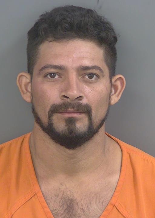 Booking photo of German Perdomolandaverde