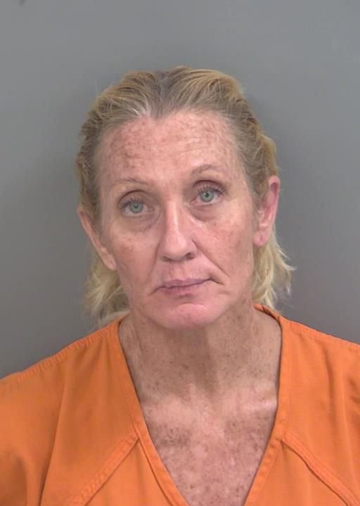 Booking photo of Michele Cook