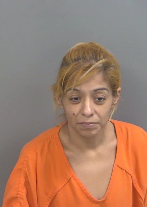 Booking photo of Sanjuana Alvear