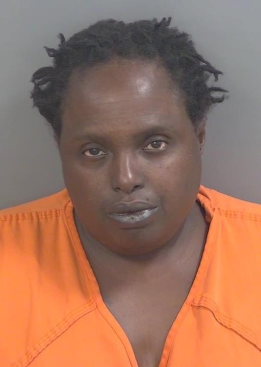 Booking photo of Gina Eloi
