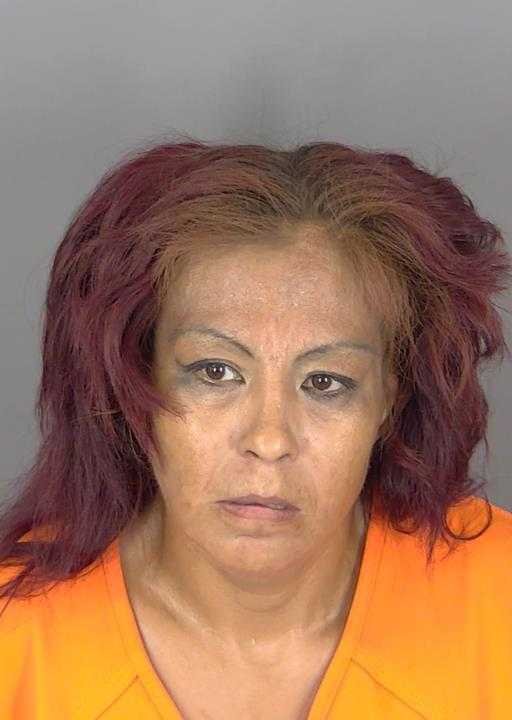 Booking photo of Diana Doxtator
