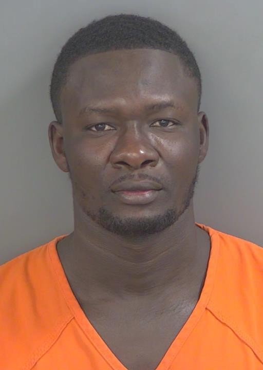 Booking photo of Isnider Riphin