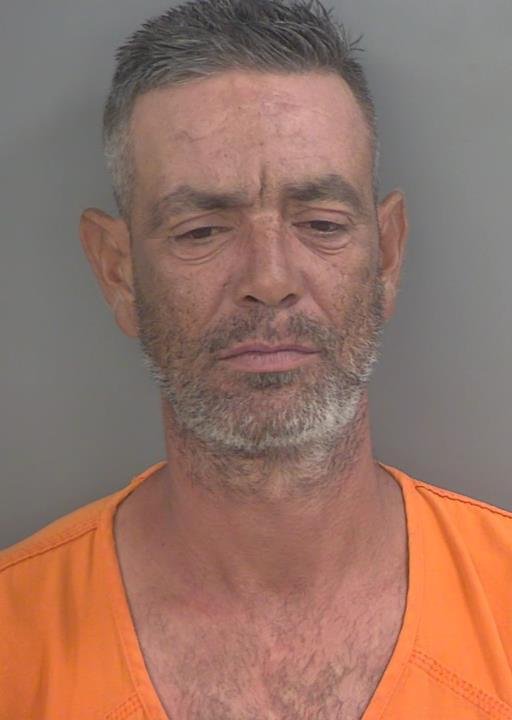 Booking photo of Andro Delsolmarti