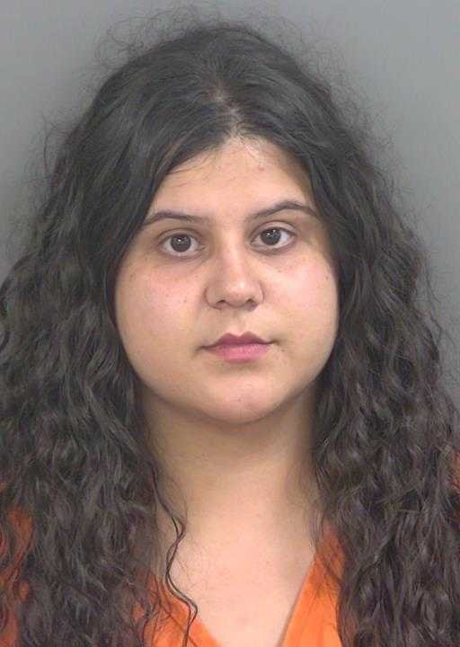 Lisa Viera booking photo
