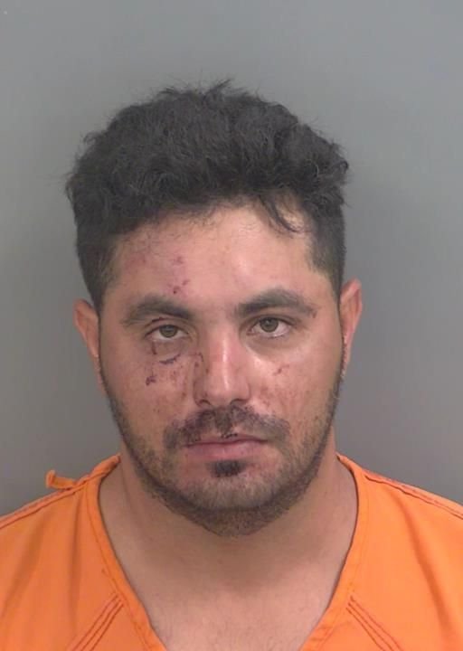 Booking photo of Osmades Ricardo-martinez