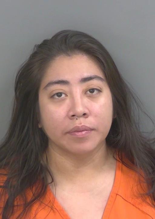 Booking photo of Sandra Lovos